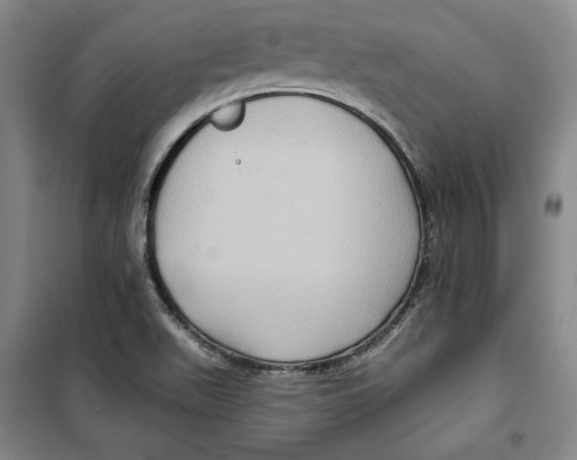 X0000099451511200806061054