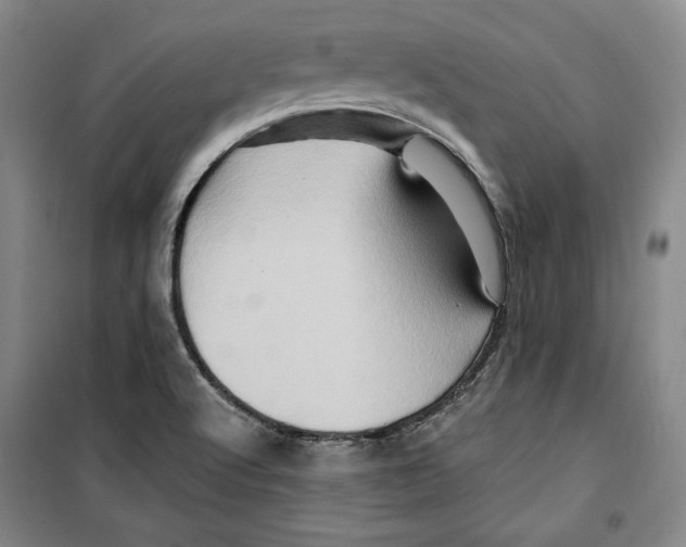 X0000099451512200806061054