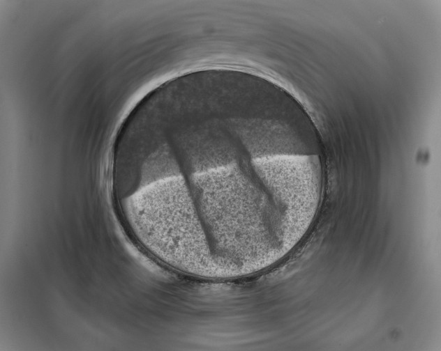 X0000099451515200806061054