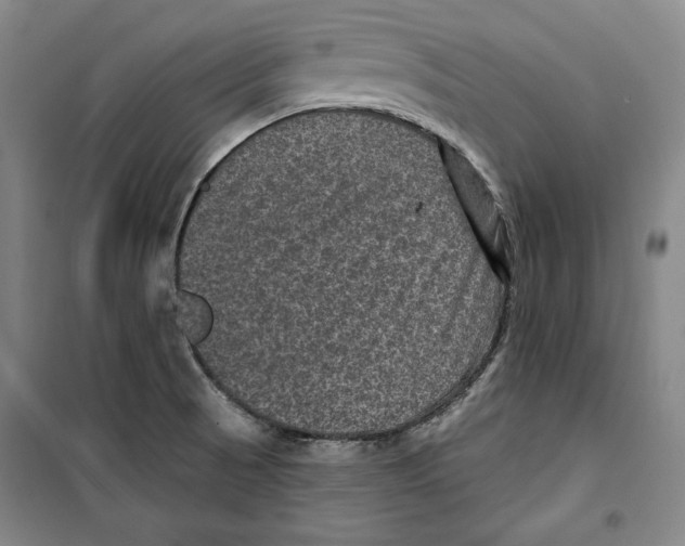 X0000099451521200806061054