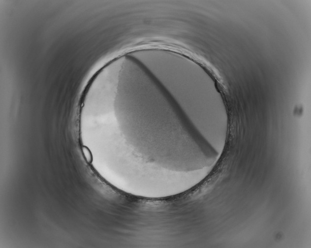 X0000099451522200806061054