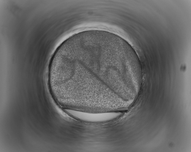 X0000099451523200806061054