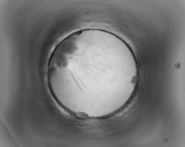 X0000099451525200806061054