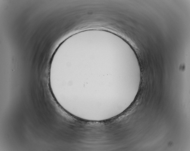 X0000099451526200806061054