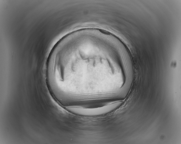 X0000099451527200806061054