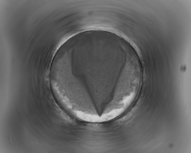 X0000099451529200806061054