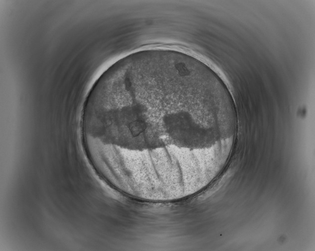 X0000099451533200806061054