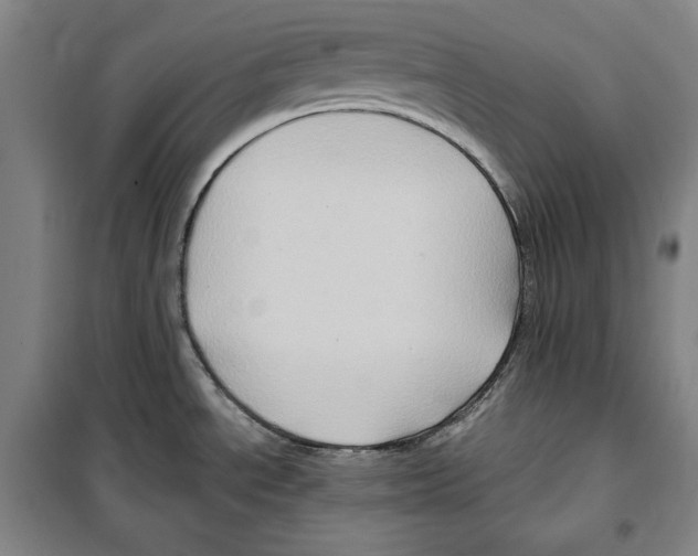 X0000099451534200806061054