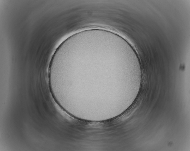 X0000099451535200806061054