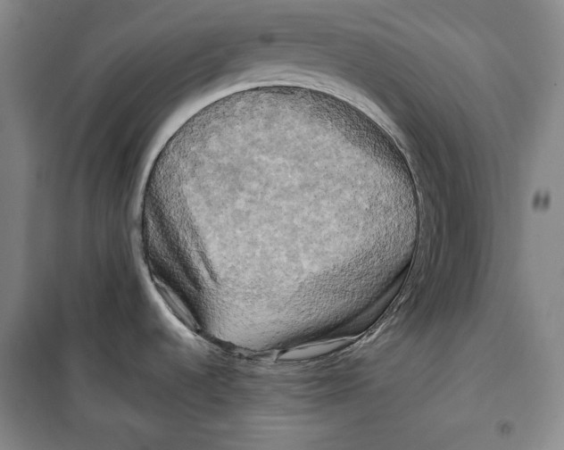 X0000099451536200806061054