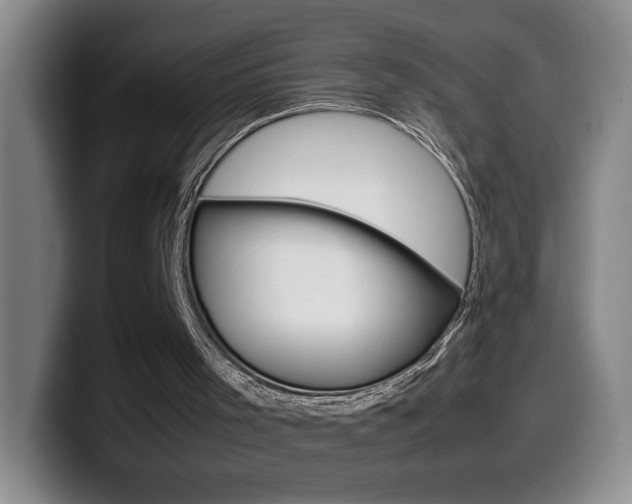 X0000099460001200805090756