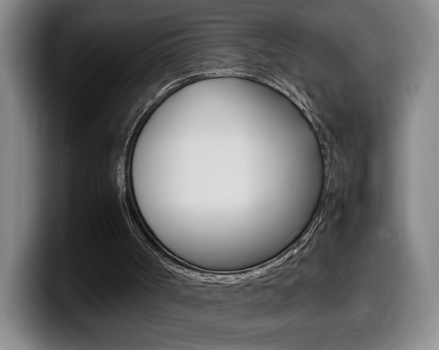 X0000099460002200805090756