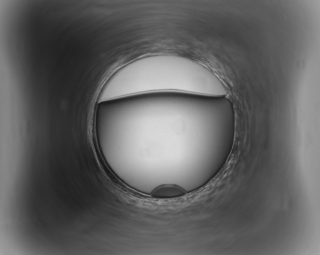X0000099460003200805090756