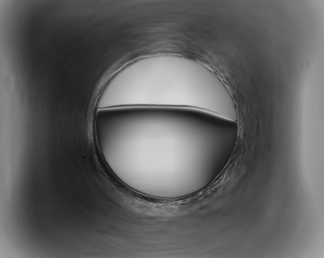 X0000099460004200805090756