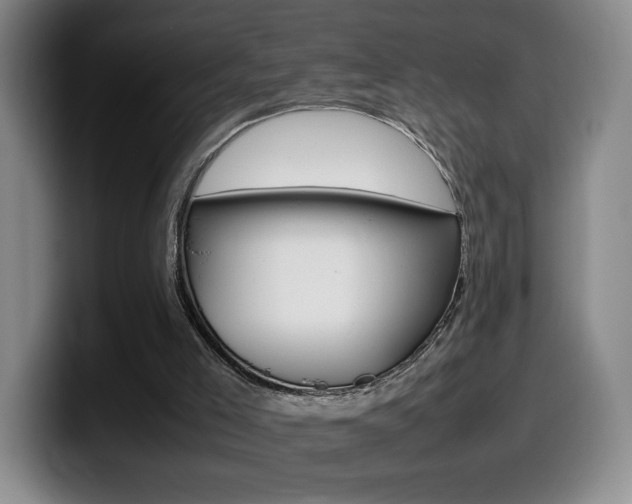 X0000099460005200805090756