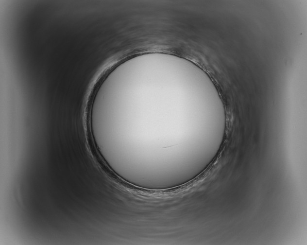 X0000099460006200805090756