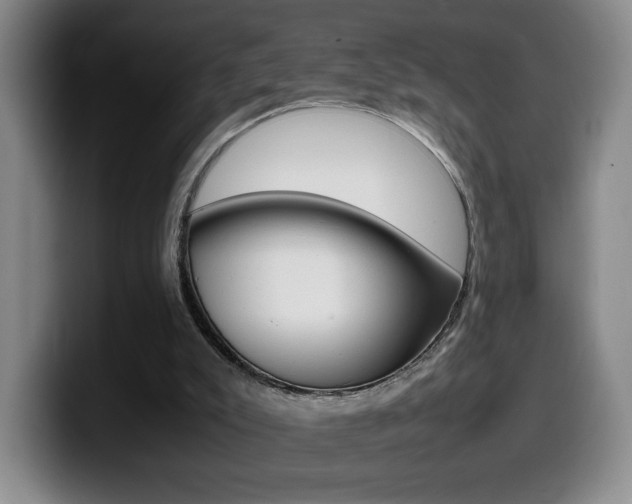 X0000099460007200805090756