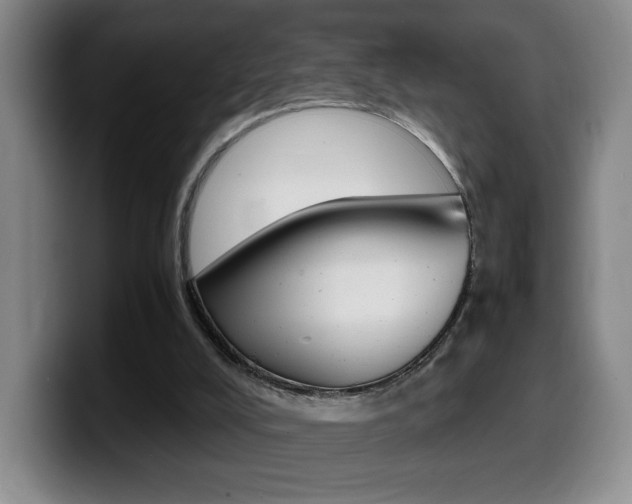 X0000099460008200805090756