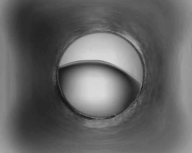 X0000099460009200805090756