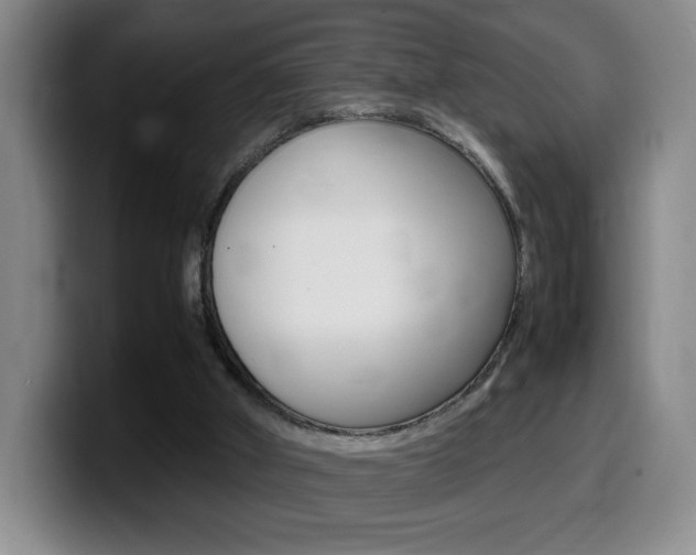 X0000099460010200805090756