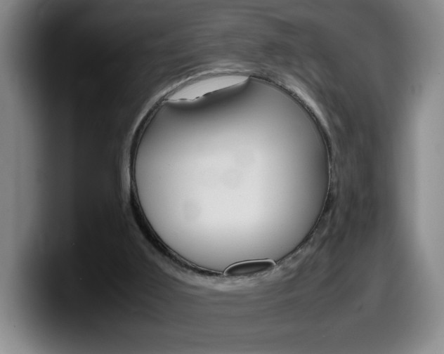 X0000099460011200805090756