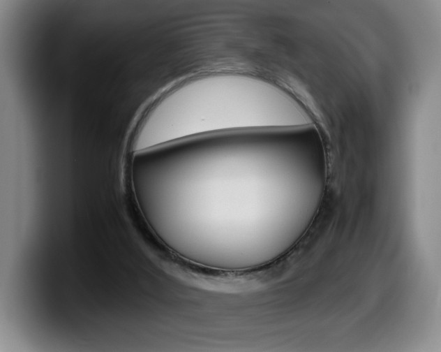 X0000099460012200805090756