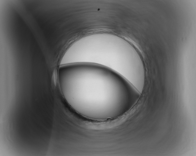 X0000099460013200805090756