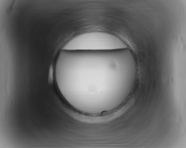 X0000099460014200805090756