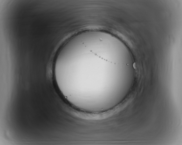 X0000099460015200805090756