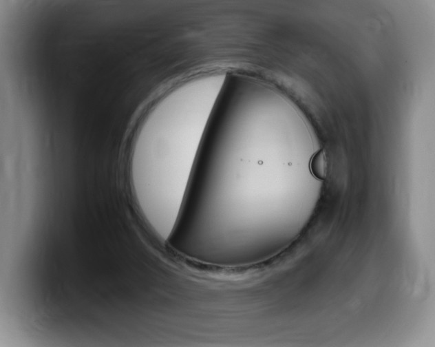 X0000099460016200805090756