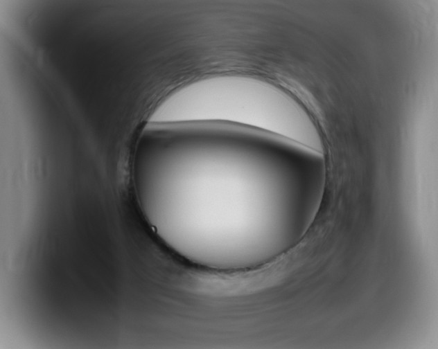 X0000099460017200805090756