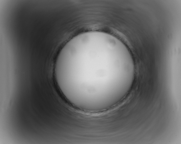 X0000099460018200805090756