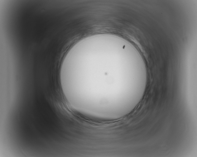 X0000099460019200805090756