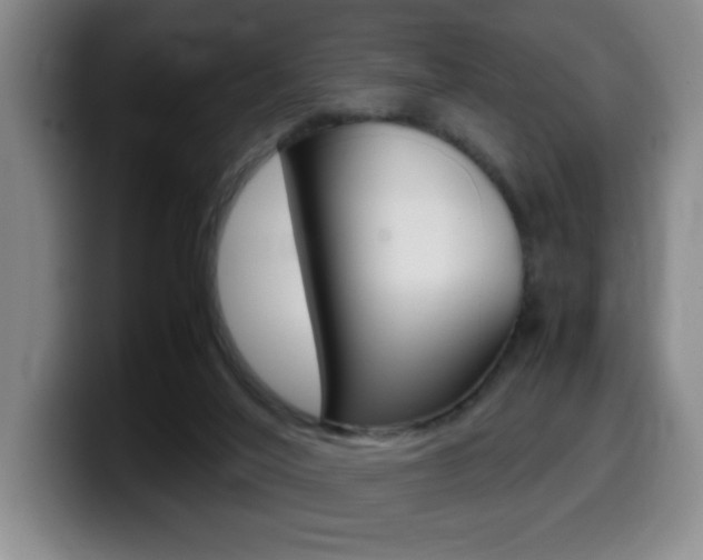 X0000099460020200805090756
