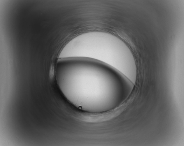X0000099460021200805090756