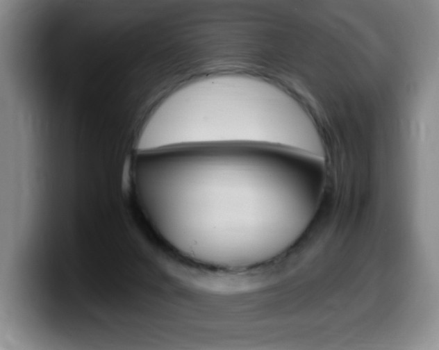 X0000099460024200805090756