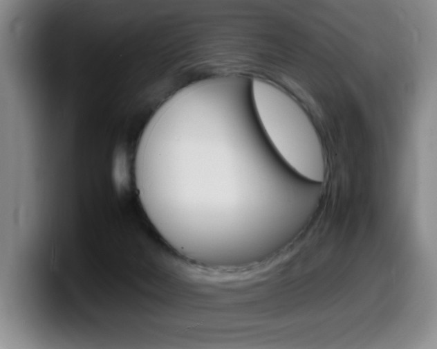 X0000099460026200805090756