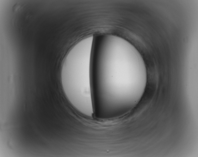 X0000099460028200805090756