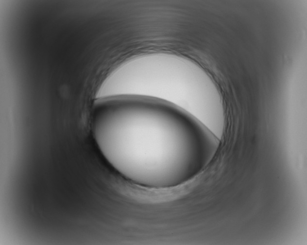 X0000099460031200805090756