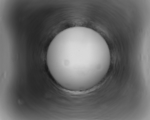X0000099460034200805090756