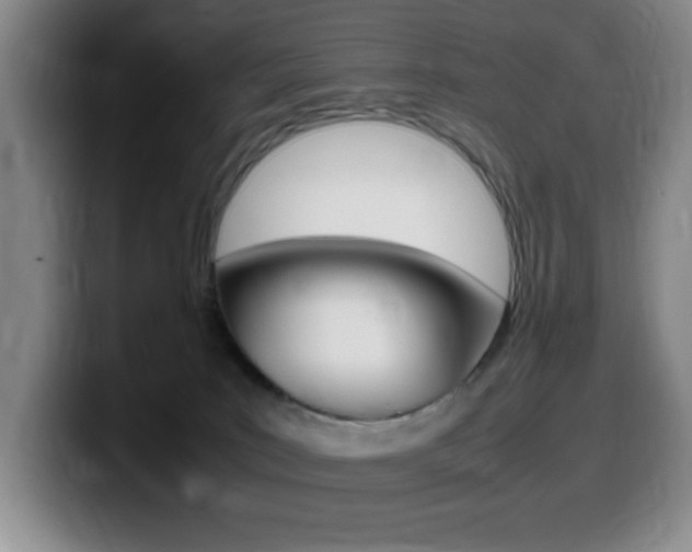 X0000099460035200805090756