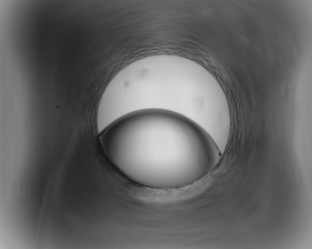 X0000099460037200805090756