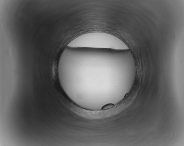 X0000099460038200805090756