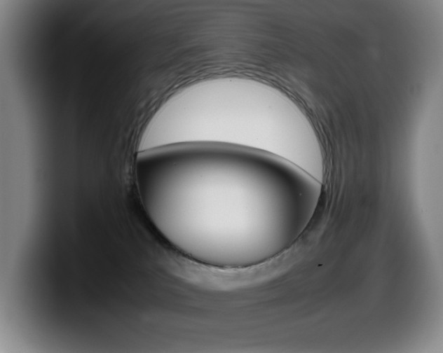 X0000099460039200805090756