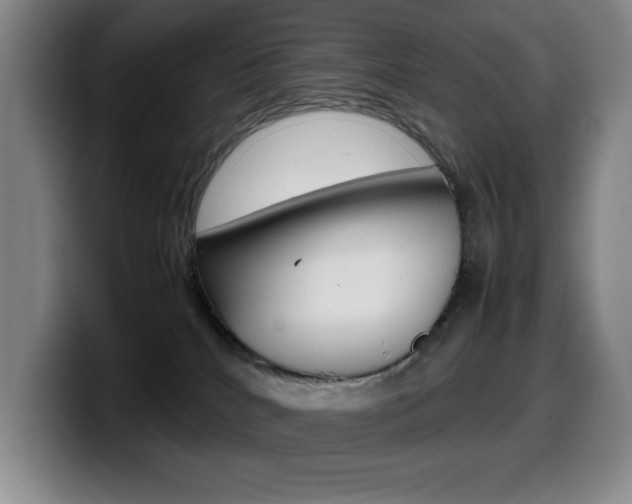 X0000099460040200805090756