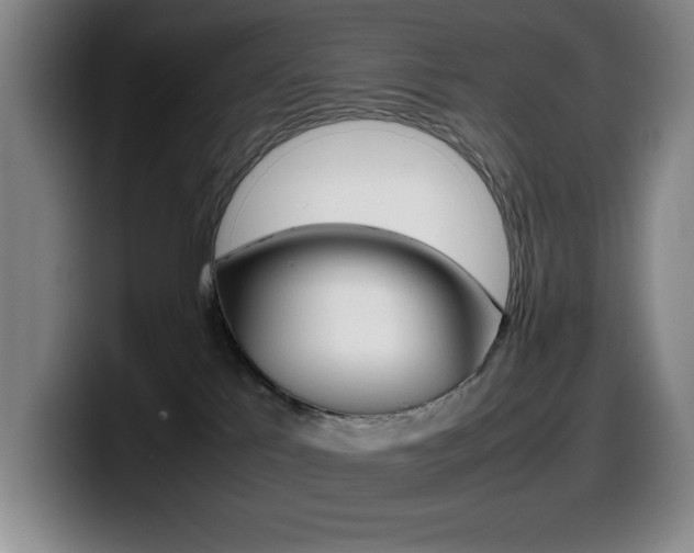 X0000099460041200805090756