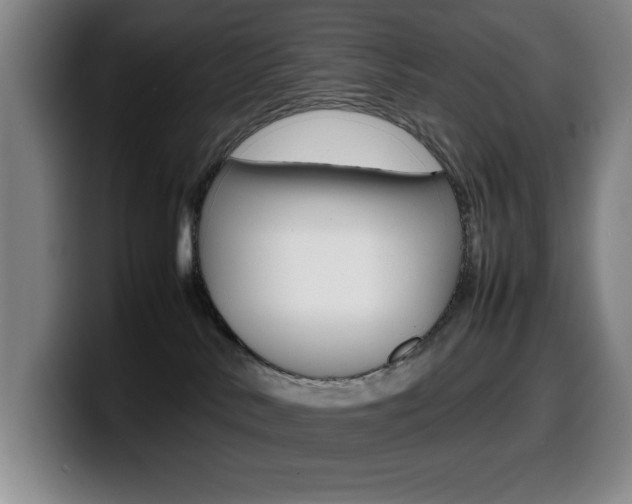 X0000099460042200805090756