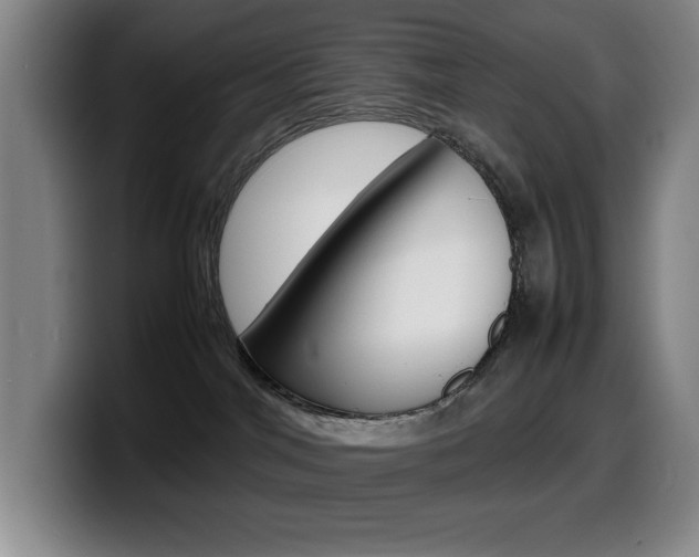 X0000099460044200805090756