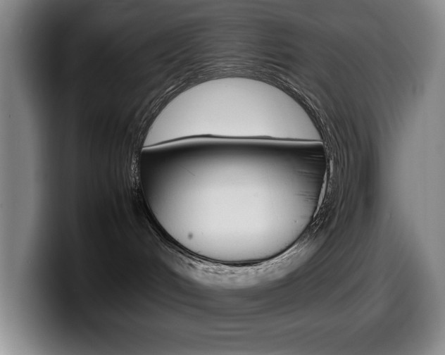 X0000099460048200805090756