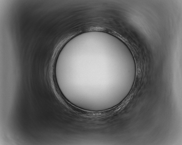X0000099460049200805090755